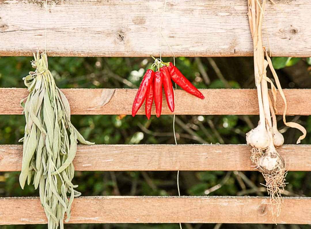 Drying Fresh Sage, Chili, and Garlic