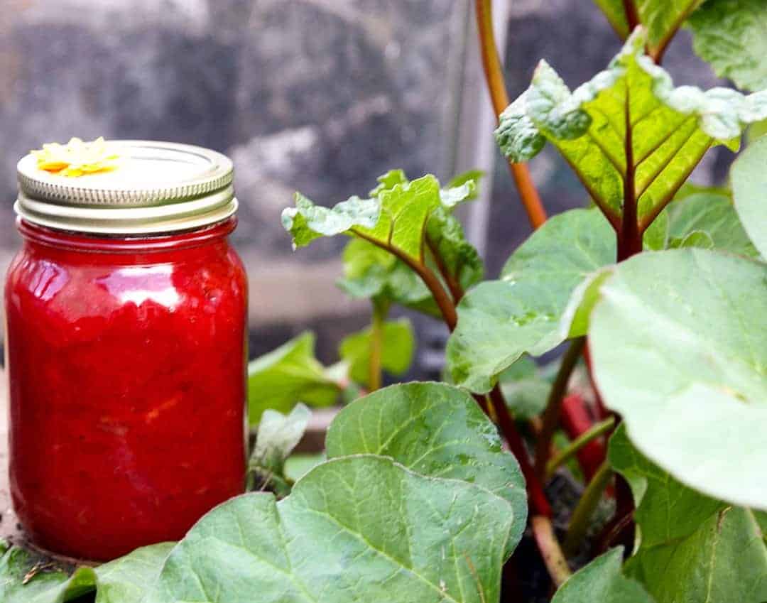 A jar of jam in a garden.