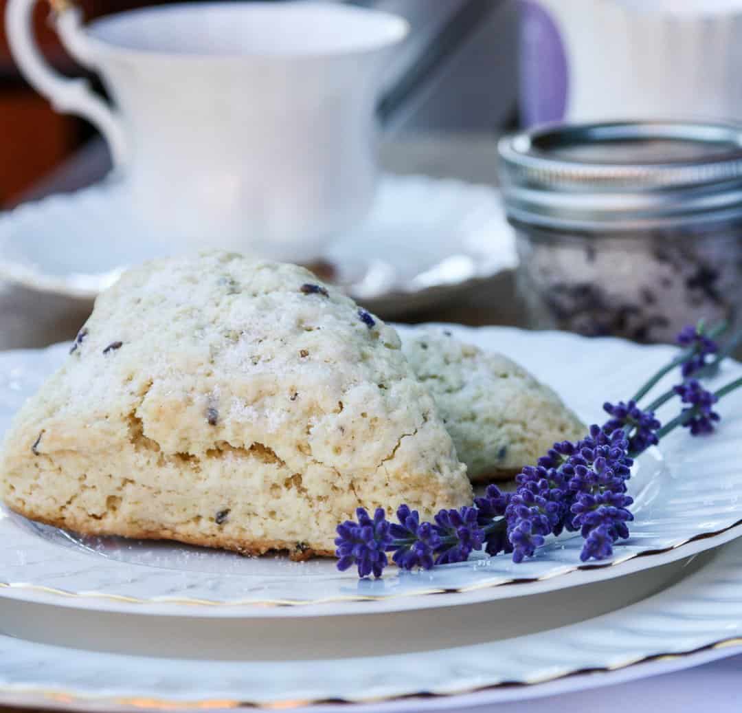 A close up of scones on a plate, with lavendar sprigs